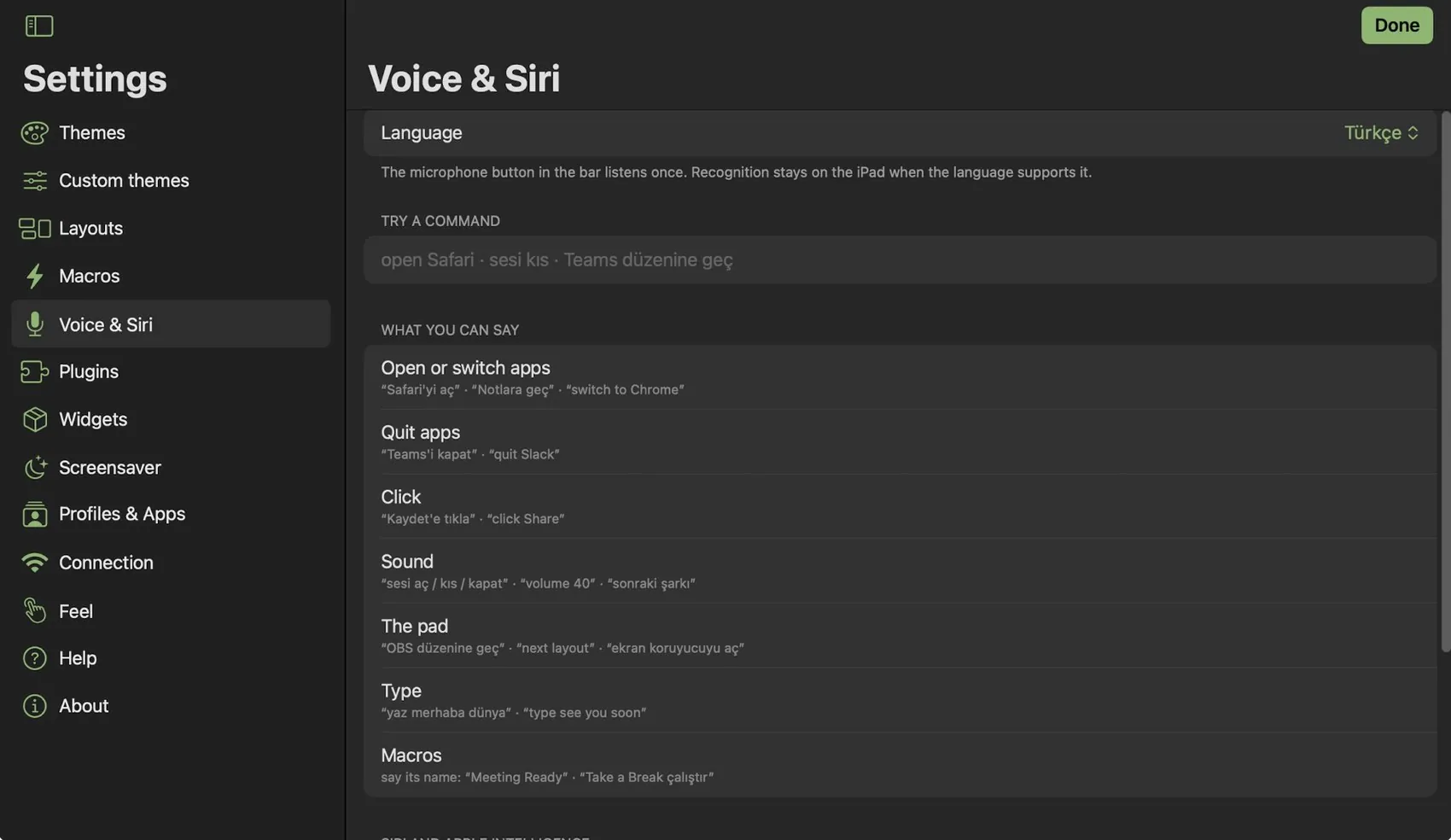 Voice & Siri settings