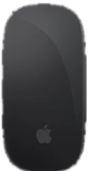 Magic Mouse